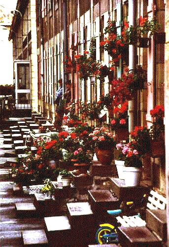 Huserfront in Baccarat beim Kristallmuseum