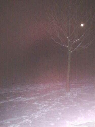 mond2.JPG (33123 Byte)