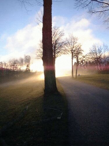 morgen2.jpg (32673 Byte)