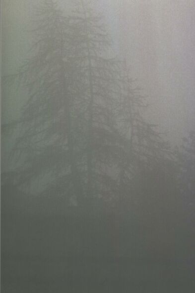 nebel1.jpg (13708 Byte)