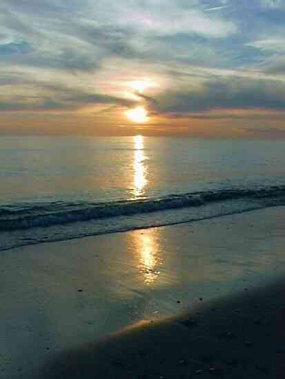 sea10.jpg (11155 Byte)