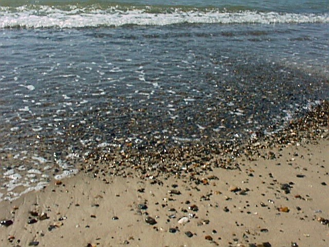 sea14.jpg (109027 Byte)