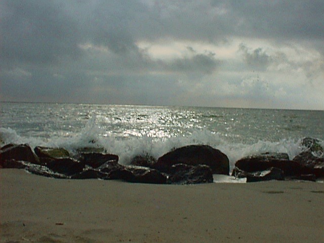 sea16.jpg (65062 Byte)