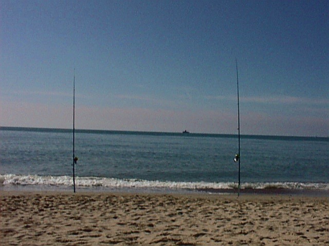 sea18.jpg (68764 Byte)