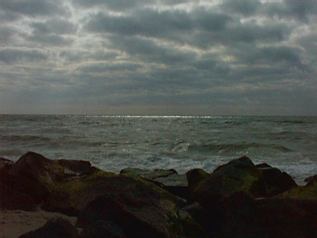 sea27.jpg (62053 Byte)