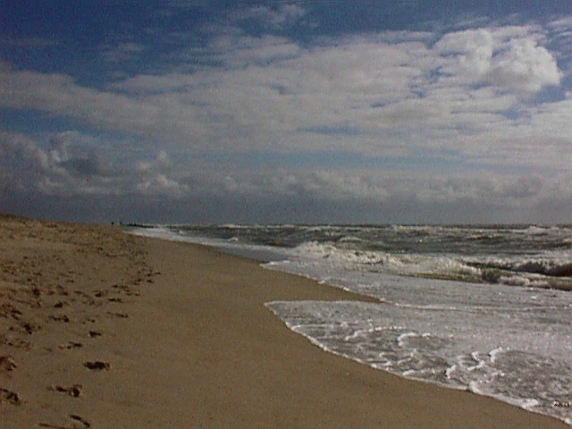 sea3.jpg (67994 Byte)