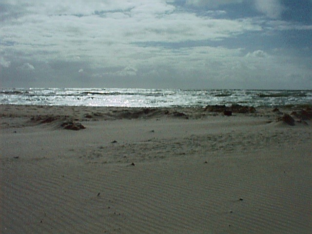 sea5.jpg (70187 Byte)