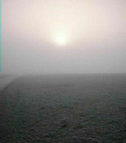 stim10.jpg (16003 Byte)