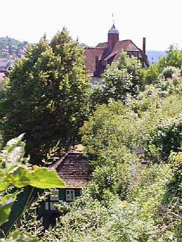 tue10.jpg (30982 Byte)