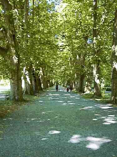 tue17.jpg (27794 Byte)