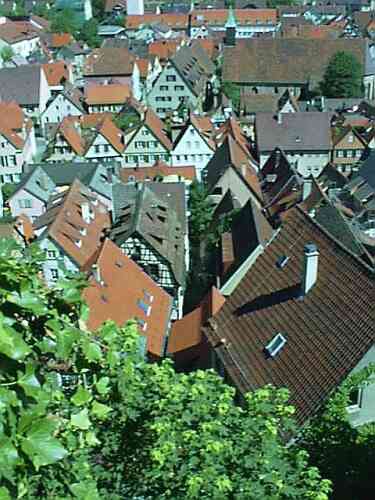 tue3.jpg (29569 Byte)