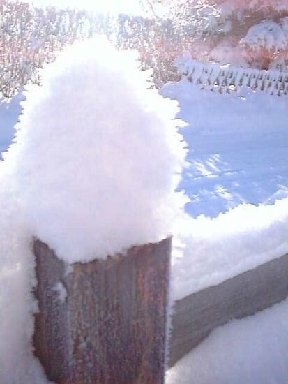 winter11.jpg (29951 Byte)