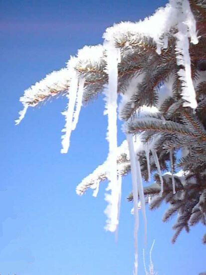 winter13.jpg (48446 Byte)