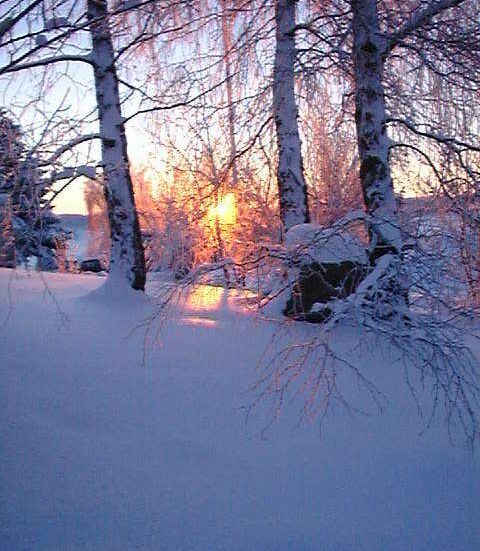 winter15.jpg (66794 Byte)