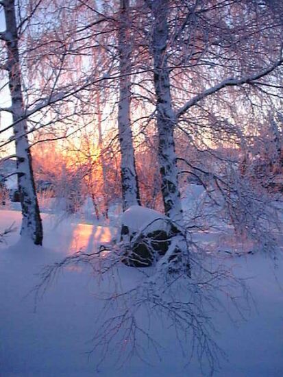 winter16.jpg (59956 Byte)