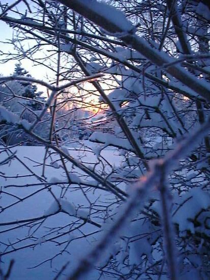 winter17.jpg (61454 Byte)