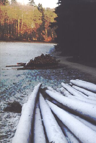 winter3.jpg (34402 Byte)