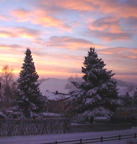 winter9.jpg (45182 Byte)